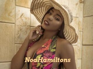 NoaHamiltons