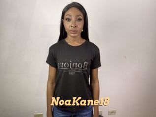 NoaKane18