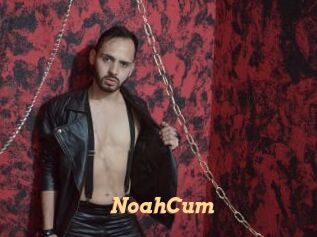 NoahCum
