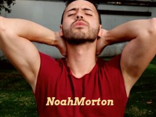 NoahMorton