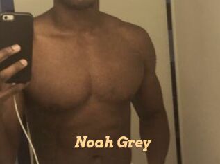 Noah_Grey