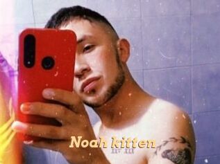 Noah_kitten