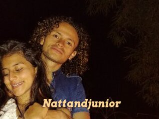 Nattandjunior