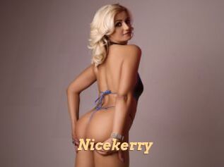 Nicekerry