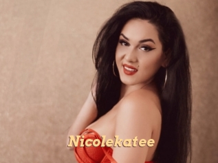nicolekatee Live Paradise