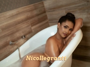 nicollegrantt Live Paradise