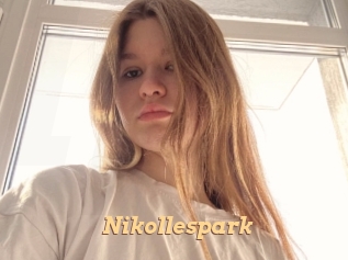 Nikollespark