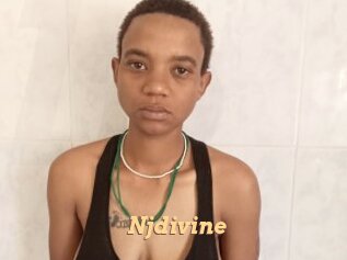 Njdivine