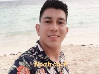 noah_cock Live Paradise