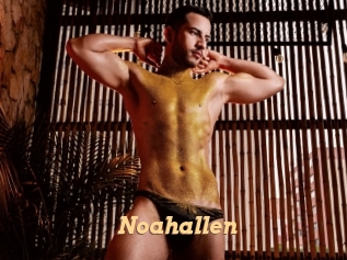 Noahallen