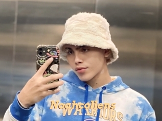 noahcollens Live Paradise