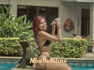 noahcollins Live Paradise