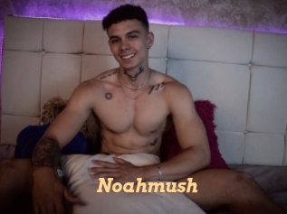 noahmush Live Paradise