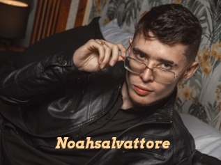 Noahsalvattore