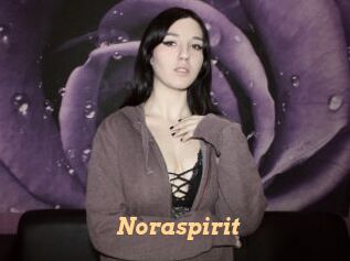 Noraspirit