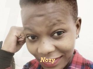 Nozy