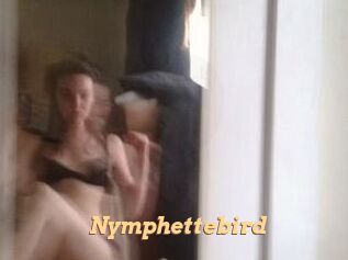 Nymphettebird