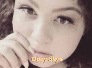Opay_Skye