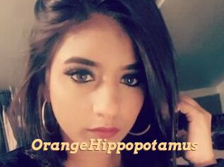 OrangeHippopotamus