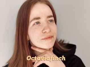 Octaviafinch