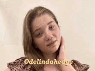 Odelindahedge