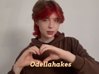 Odellahakes