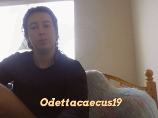 Odettacaecus19