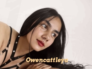 Owencattleya