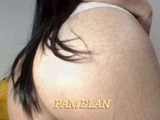 PAMELA_N