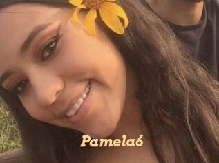 Pamela6 Live Paradise