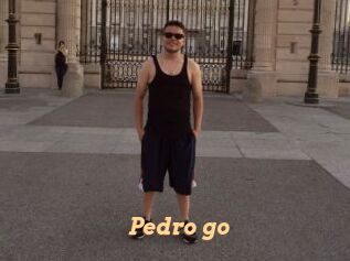Pedro_go