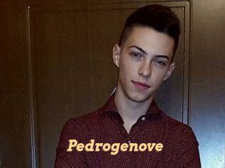 Pedrogenove