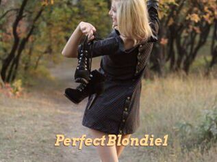 PerfectBlondie1