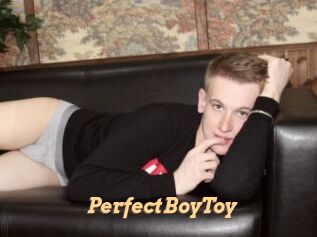 PerfectBoyToy