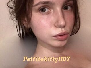 Pettitekitty1107