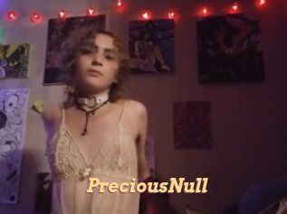 PreciousNull Live Paradise
