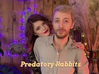 Predatory_Rabbits
