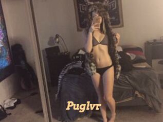 Puglvr