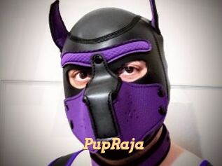 PupRaja