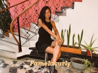 Pamelacurly