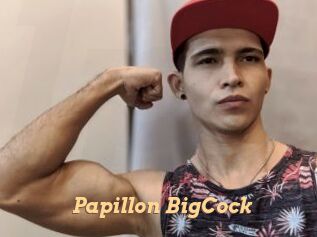 Papillon_BigCock