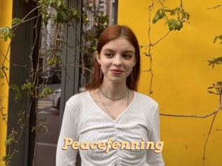 Peacefenning