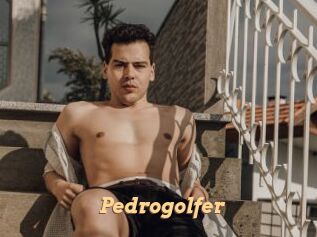pedrogolfer Live Paradise