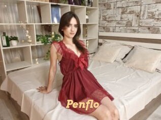 Penflo