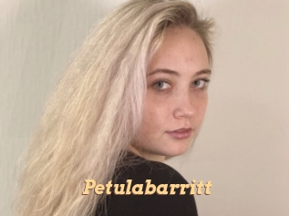 Petulabarritt