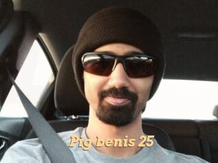 Pig_benis_25