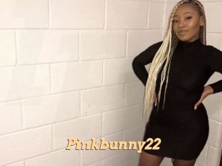 Pinkbunny22