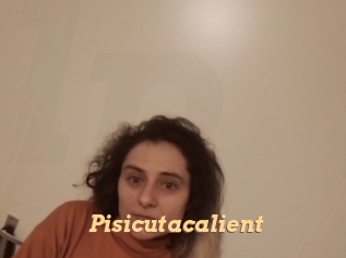 Pisicutacalient