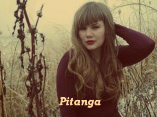 Pitanga