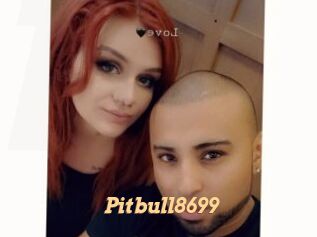 Pitbull8699